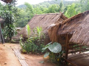 My Hut at Apa Village near Chiang Rai