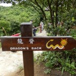 Start of Dragon's Back